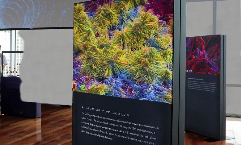 Avista Technologies, San Marcos, California, offers informative and dramatic displays in their showroom using double-sided backlit frames. (Image courtesy of Direct LED Frames)